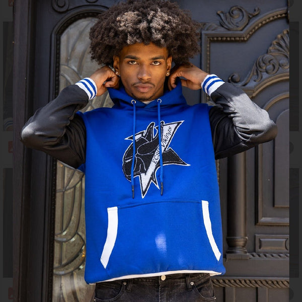 ELIZABETH CITY STATE UNIVERSITY COORDINATES HOODIE - Gainz Sportsgear LLC.