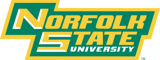 NORFOLK ST UNIVERSITY DISTRESSED PATCH HOODIE - Gainz Sportsgear LLC.