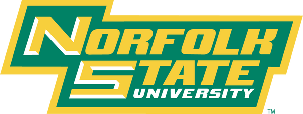 NORFOLK ST UNIVERSITY DISTRESSED PATCH HOODIE - Gainz Sportsgear LLC.