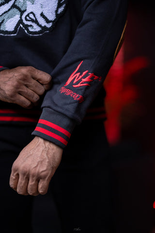 WINSTON SALEM STATE PULLOVER - Gainz Sportsgear LLC.