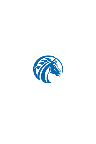 FAYETTEVILLE STATE UNIVERSITY - Gainz Sportsgear LLC.