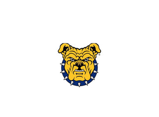 NORTH CAROLINA A&T - Gainz Sportsgear LLC.