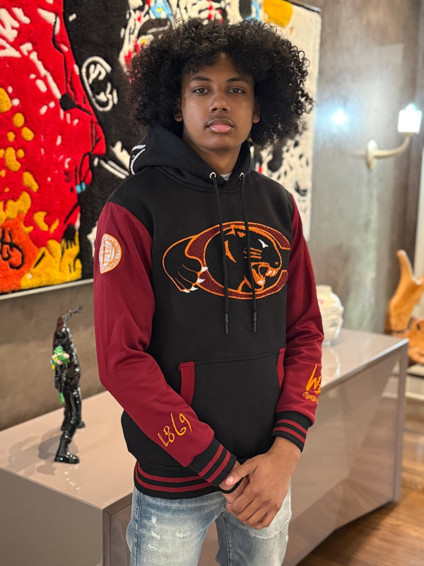 CLAFLIN UNIVERSITY COORDINATES HOODIE - Gainz Sportsgear LLC.