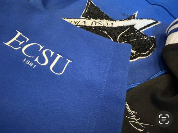 ELIZABETH CITY STATE UNIVERSITY COORDINATES HOODIE - Gainz Sportsgear LLC.