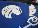 FAYETTEVILLE STATE UNIVERSITY COORDINATES HOODIE - Gainz Sportsgear LLC.