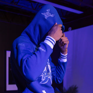 HAMPTON UNIVERSITY COORDINATES HOODIE - Gainz Sportsgear LLC.