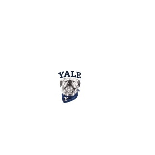 YALE UNIVERSITY MERCH (COMING SOON) - Gainz Sportsgear LLC.